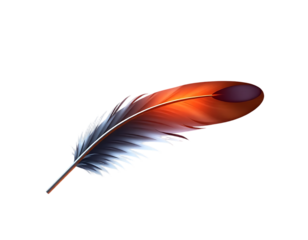 Elegant Orange and Brown Feather on Transparent Background