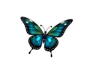 Fototapeta premium Elegant blue butterfly with intricate wing patterns