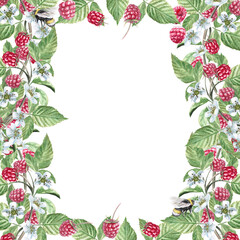 Square frame with raspberry branches and bees. Isolated watercolor illustration of ripe berries for product packaging design, photo frame decoration, poster printing.