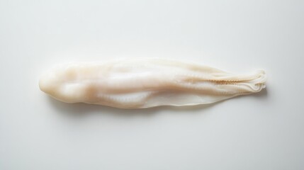 Raw, whole fish fillet.  Fresh, translucent seafood