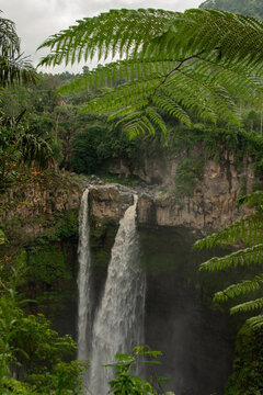 Tranquil scene of waterfall called Coban Sriti in Lumajang, East Java, Indonesia, plunging into a misty deep gorge, framed by lush greenery and fern in a tropical rainforest setting.
