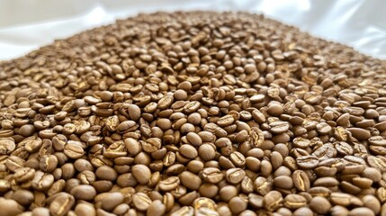 Roasted coffee beans (4)