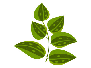 Tropical leaf with halftone grain texture. Exotic green plant for contemporary collage art. Palm leaves on a white background for advertising. Vector illustration.