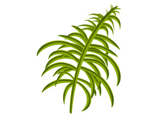 Tropical leaf with halftone grain texture. Exotic green plant for contemporary collage art. Palm leaves on a white background for advertising. Vector illustration.