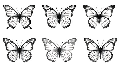 Elegant Monochrome Butterfly Collection on White Background, Nature's Grace