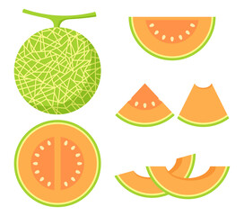 Set of melon fruit summer food illustration clipart
