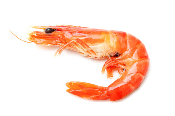 Close up of shrimp isolated white background, fresh seafood