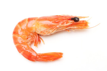Close up of shrimp isolated white background, fresh seafood