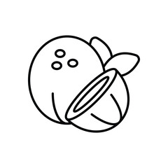 Coconut  icon vector stock illustration