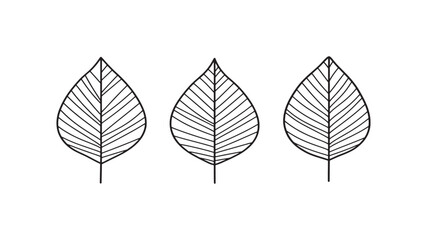 Alder leaf line art minimalist botanical sketch on white paper