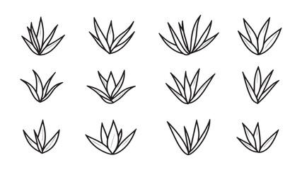 Aloe Vera Leaf line art detailed nature drawing botanical art piece