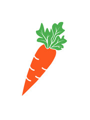 image or vector of an orange fruit that is good for eye health called carrot