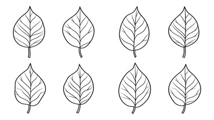 Obraz premium Bael leaf line art illustration botanical drawing on white background