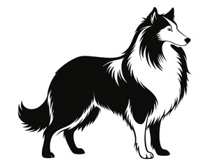 Fototapeta premium A Rough Collie dog silhouette vector illustration on white background. 