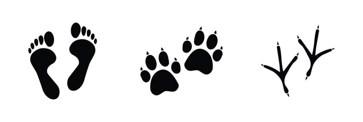 Fototapeta premium set of footprints, human, animal and bird trace, isolated on transparent