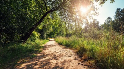 Obraz premium Scenic dirt road surrounded by lush green trees and vibrant grass under a bright sunlit sky