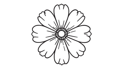 Coreopsis line art illustration botanical flower design in black and white