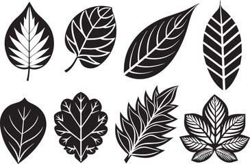Fototapeta premium Set of leaves, flat silhouette. Hand drawn vector illustration