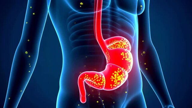 Stomach pain, gastric ulcer, abdominal discomfort. Digestive health. Gastric walls inflame causing agony. Ulcer development impacts nutrient absorption. Digestive efficiency decreases with discomfort.