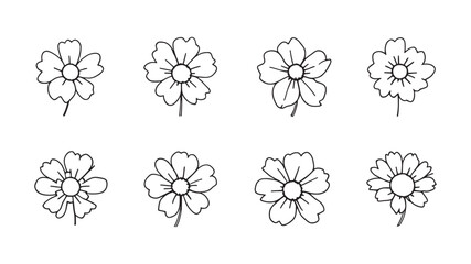 Feverfew line art botanical artwork highlighting natural plant features