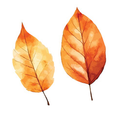 A autumn leaves cute watercolors illustration on white background