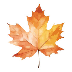 A autumn leaves cute watercolors illustration on white background