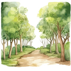 Fototapeta premium A beautiful forest with sunlight cute watercolors illustration on white background
