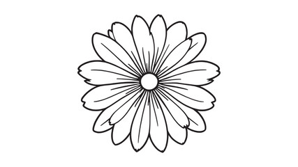 Gaillardia line art simple floral design in black and white