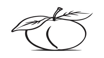 Peach line art clean vector fruit illustration soft pastel tones