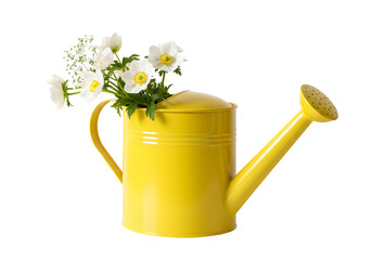 Yellow Watering Can with White Flowers transparent background © mahboob