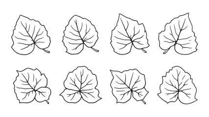 Philodendron line art botanical drawing with elegant tropical leaves