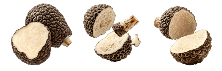 Set of summer truffles isolated on white transparent background, great for culinary and gourmet themes.