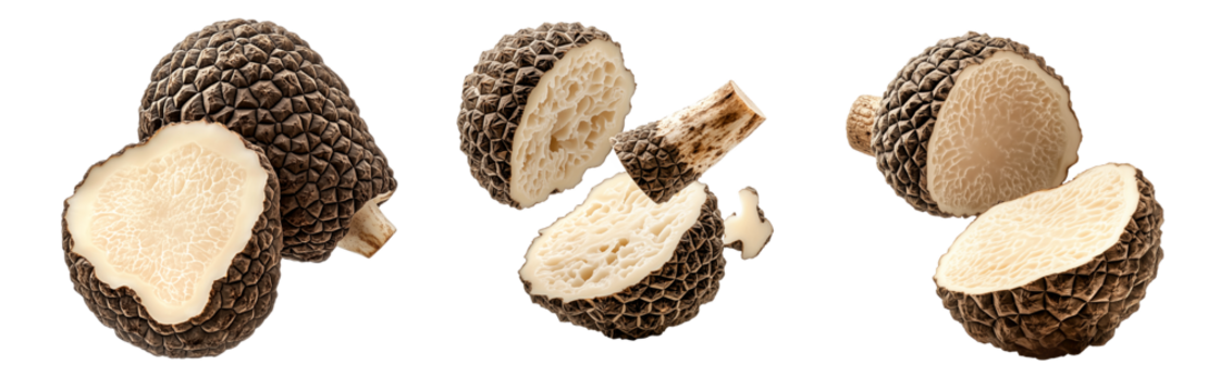 Set of summer truffles isolated on white transparent background, great for culinary and gourmet themes.