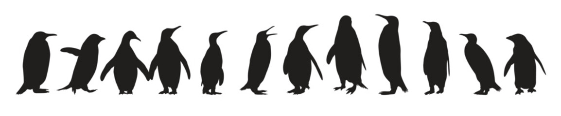 Collection of Penguin Silhouette in different poses.