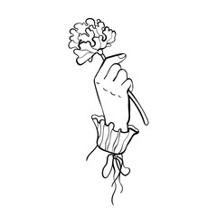 Delicate female hand in vintage ruffled sleeve gently holding flower. Minimalist doodle vector with curved outline. Ideal for feminine branding and boho design.