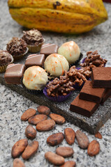 A variety of homemade chocolates are displayed on a tray next to a cocoa pod and cocoa beans.