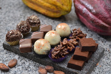 A variety of homemade chocolates are displayed on a tray next to a cocoa pod and cocoa beans.