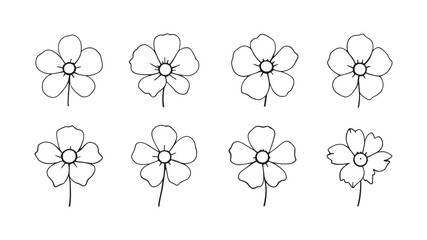 Water Poppy line art botanical flower drawing with delicate details