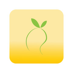 Mango fruit logo vector and symbol design