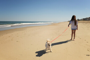 Young girl walking white Pomeranian dog on beach Cape Hatteras