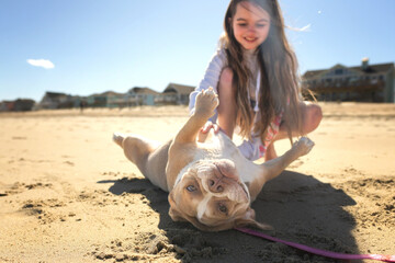 Young girl petting Beagle Bulldog mix puppy on sandy beach