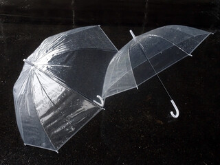 ビニール傘