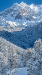 Snowy mountain peak, winter forest valley.  Possible use travel brochure