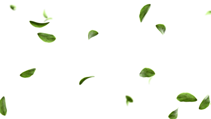 Lush green leaves flying botanical overlay 3d render