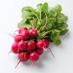 Bunch of fresh radishes with green tops, diagonally positioned on clean white background