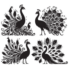 Fototapeta premium create peacock bird Silhouette with white background