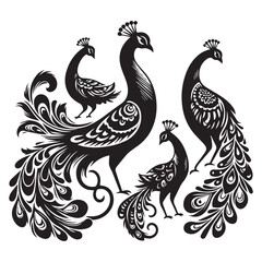 create peacock bird Silhouette with white background