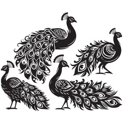 create peacock bird Silhouette with white background