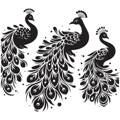 create peacock bird Silhouette with white background