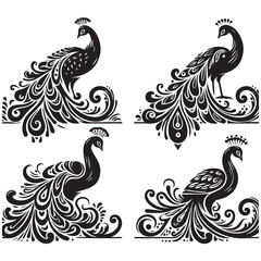 Fototapeta premium create peacock bird Silhouette with white background
